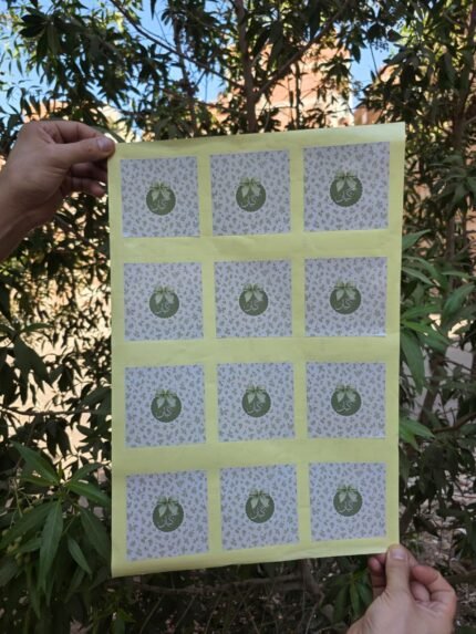 إستيكر أشكال متشابهه